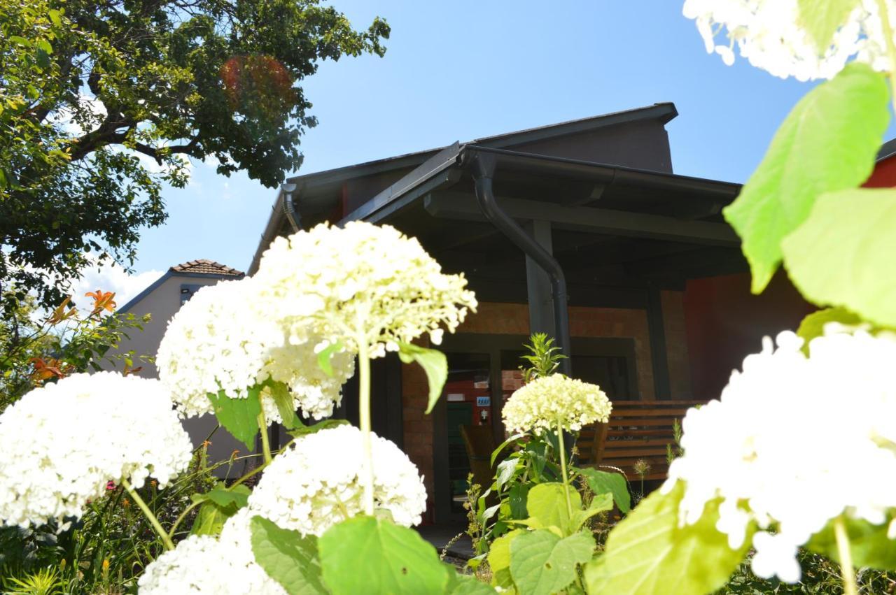 Villa Bootshaus Eisenstadt Esterno foto